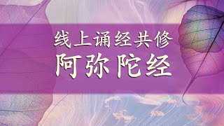 共修法会 《阿弥陀经》