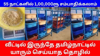 55 நாட்களில் 1,00,000ரூ சம்பாதிக்கலாம் அதும் வீட்டில் இருந்தே தமிழ்நாட்டில் யாரும் செய்யாத தொழில்