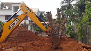 പറിച്ചു നടൽ /Transplanting / Tree relocation / Tree transplantation in Malappuram Kerala India