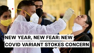 Spread of New Covid-19 Variant Reignites Old Concerns Ahead of New Year