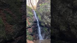 Hiking at the end of this year, Mount Mitake, in Tokyo