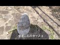 98【見沼通船堀公園】埼玉県さいたま市緑区　江戸時代に造られたかんがい遺構に隣接して造成されている竹林公園。見沼の干拓の歴史を学びながら散策できます 見沼通船堀 見沼通船堀公園