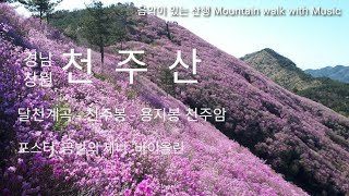 천주산 진달래산행 20210405 / 포스터. 금발의 제니. 바이올린