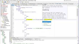 9- JSF Lesson9 JSF Convertion and Validation