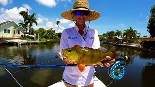 Fly Fishing video, half day trip for Bass and Peacock bass on fly