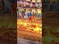 thimithi fire walking tradition of tamil nadu india unveiled