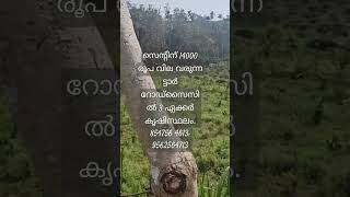 3 ഏക്കർ കൃഷിസ്ഥലം. സെന്റിന് 14000 രൂപ