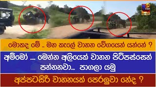 මහ කැලේ වාහන වේගයෙන් යන්නේ ? අම්මෝ .... මෙන්න අලියෙක් වාහන පිටිපස්සෙන් පන්නනවා...පාගලා යමු