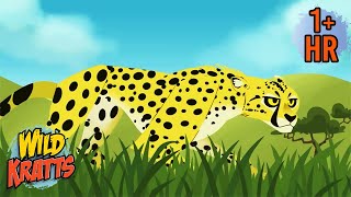 Speedy Cheetahs | Wildest Moments of Amazing Powers | Wild Kratts