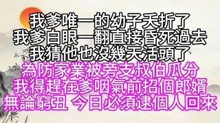 我爹唯一的幼子夭折了，我爹白眼一翻，直接昏死過去，我猜他也沒幾天活頭了，為防家業被旁支叔伯瓜分，我得趕在爹咽氣前招個郎婿，無論窮丑，今日必須逮個人回來