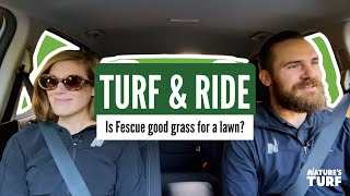 Is fescue good grass for a lawn? | Turf & Rides Ep2