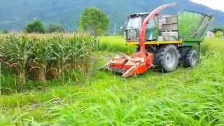 青割玉米機~ same 165.7 and  Kemper C2200 corn harvester  in Taiwan Hualien tractor トラクター รถแทรกเตอร์