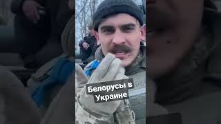 ⚡️ Белорусы в Украине освободили Лукьяновку вместе с ВСУ / Украина сейчас. Последние новости