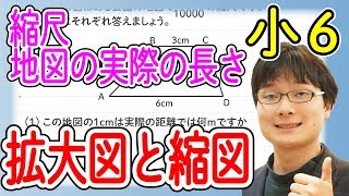 小6算数 6.5 縮図の利用 縮尺