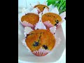 Blueberry Oatmeal Muffins