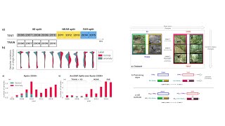 Anomaly Detection in Distribution Shift Setups