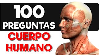 100 Preguntas de ANATOMÍA HUMANA 💪❤️🦴 100 Preguntas del \