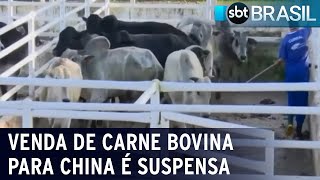 Venda de carne bovina para China é suspensa | SBT Brasil (23/02/23)