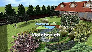 Molch-Teich rechteckig - NaturTeich von NaturaGart