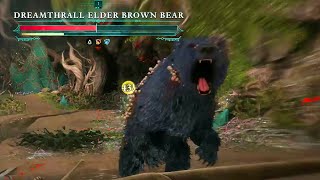 Kill the Afflicted Bear - Dreamthrall Elder Brown Bear Boss fight | Avowed