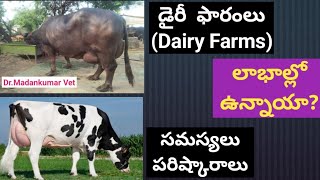 How many dairy farms are in Profits? Reasons and solutions in Telugu | Dr. Madankumar Vet