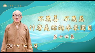 千佛山教授師 智翔法師主講—不思善、不思惡，什麼是你的本來面目(十四)