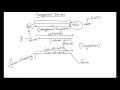 ss7 protocol mtp3 management inhibiting