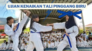 UJIAN KENAIKAN TALI PINGGANG BIRU TAEKWONDO SANDAKAN !