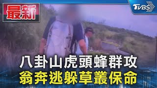 八卦山虎頭蜂群攻 翁奔逃躲草叢保命｜TVBS新聞 @TVBSNEWS01