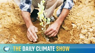 The Daily Climate Show - Sky News looks at the 2021 climate data