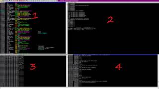 Immunity Debugger