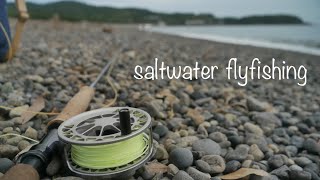 saltwater flyfishing movie フライフィッシング動画　海