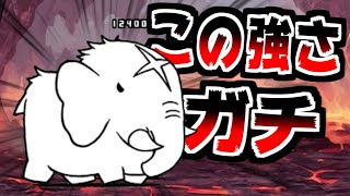 【にゃんこ大戦争】なんだこいつ！？超象獣パパオウがガチで強すぎてヤバい！【本垢実況Re#1658】