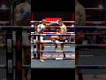 Buakaw Vs Nayanesh Beautiful Left Hook