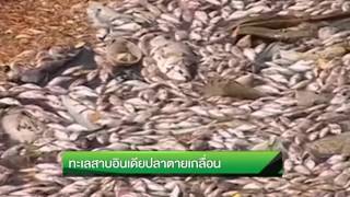 จับตาเตือนภัย รวมภัยในรอบสัปดาห์ | 12-03-59 | ไทยรัฐนิวส์โชว์ | ThairathTV