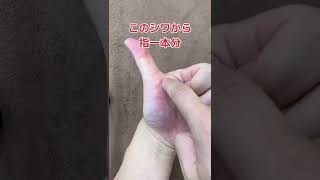 首こりぶっ飛ぶ手揉み新宿区四谷[整体院EVOL]