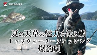 夏の天草の魅力を伝え鯛　トップウォーターフィッシング爆釣劇