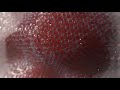 Subsurface Scattering Test - Blender/EEVEE