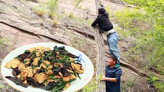 雨季到来，兄弟俩外出采野木耳炒鸡蛋吃，咸香爽口山货就是好吃！【黄土兄弟】