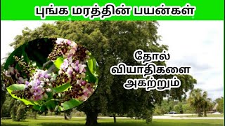 புங்க மரத்தின் பயன்கள் | MR.VIVASAYEE