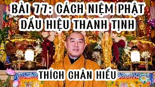 BÀI 77: CÁCH NIỆM PHẬT - DẤU HIỆU THANH TỊNH - Thích Chân Hiếu - Pháp Môn Tịnh Độ.