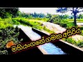 beautiful village, travel sri lanka, travel 4k, mahiyanganaya, travel with shiwa