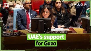 The UAE's significant efforts to prevent a dangerous escalation in Gaza