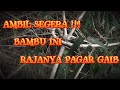 Ambil segera bambu ini rajanya pagar gaib dan nyata tp di sertai menjalankan filosofi bambu ini.