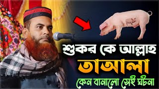 শুকর কে আল্লাহ তাআলাকেন বানালো সেই ঘটনা মাওঃ রেজাউল করিম সাহেব/...2025📞8389009815