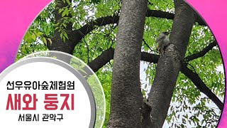 [관악구]선우유아숲체험원의 /5월 둥지이야기