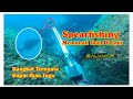 Spearfishing Indonesia / panah ikan di laut dangkal  || ternyata auto panen ikan