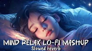 ❤️‍🩹Mind Relax😇 Lofi mashup || slowed reverb || Nightcore Song | pktt 🥰new episode 2025