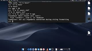 Intro to Python Workshop 1: Pythonic Code, Pip and building basic CLI apps 🐍