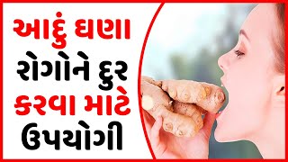 અનેક ભયંકર બીમારીથી બચવા જાણો આદુના આટલા ફાયદા-આદુ ના ફાયદા | Health Benefits of Ginger